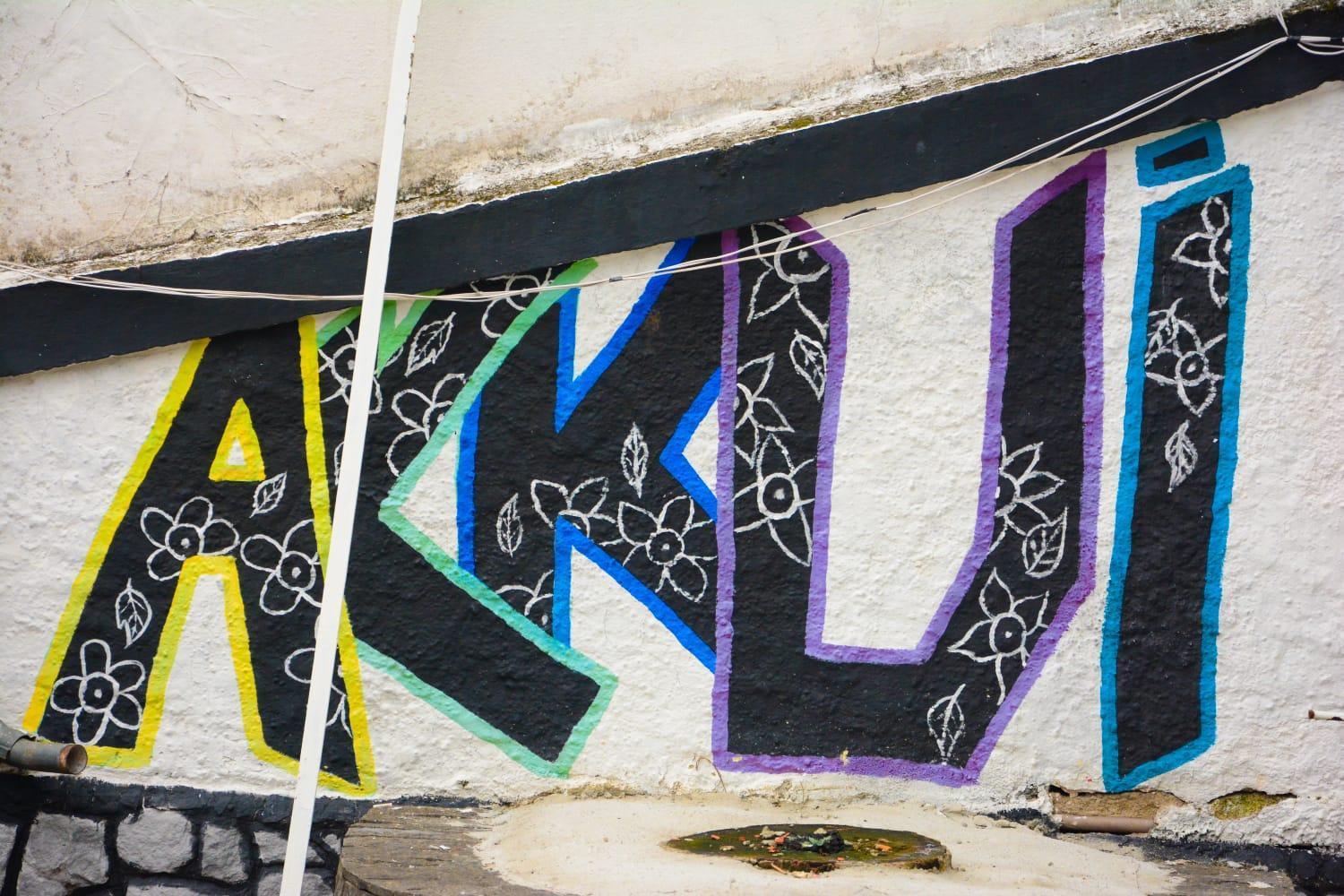 Mansao Akkui Hostel Sao Paulo Exterior foto